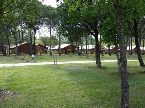 Camping Du Lac de Thoux - Ciela Village - Camping Gers - Image N°59