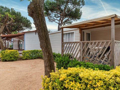 MOBILE HOME 4 people - Mobile-home | Comfort | 2 Bedrooms | 4 Pers. | Single terrace