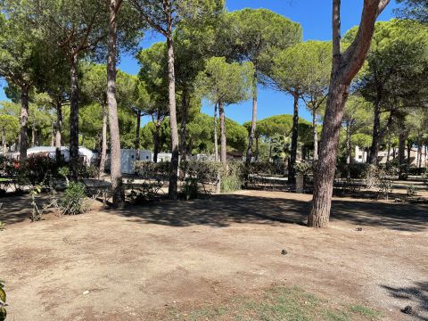 Camping Calypso - Camping Pyrénées-Orientales - Afbeelding N°5