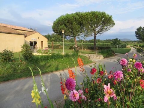 La Rouvière les pins - Camping Ardèche - Image N°20