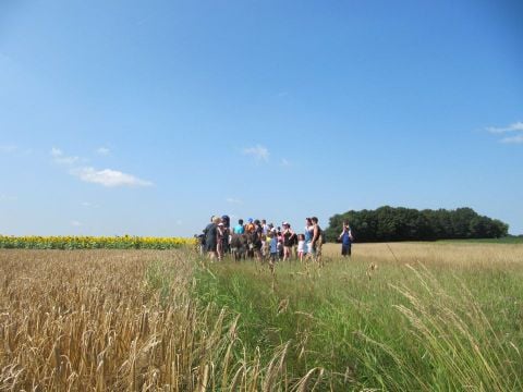 Camping Ferme Pédagogique de Prunay - Camping Loir-et-Cher - Image N°11