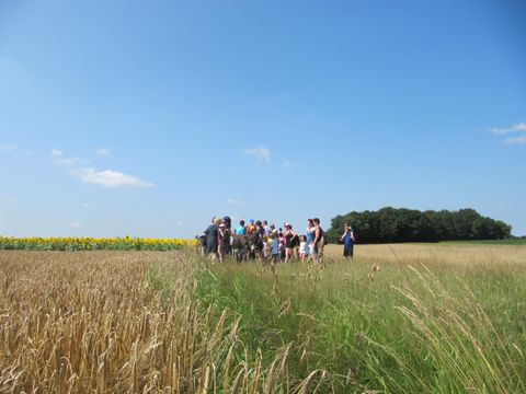 Camping Ferme Pédagogique de Prunay - Camping Loir-et-Cher - Image N°30