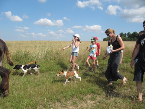 Camping Ferme Pédagogique de Prunay - Camping Loir-et-Cher - Image N°11