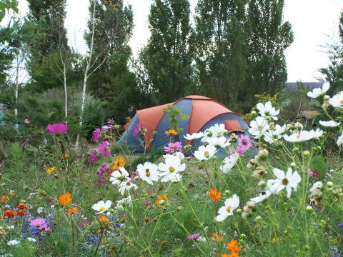 Camping Ferme Pédagogique de Prunay - Camping Loir-et-Cher - Image N°33