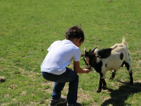 Camping Ferme Pédagogique de Prunay - Camping Loir-et-Cher - Image N°14