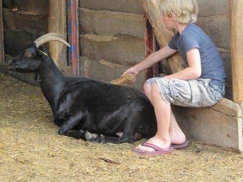 Camping Ferme Pédagogique de Prunay - Camping Loir-et-Cher - Image N°56