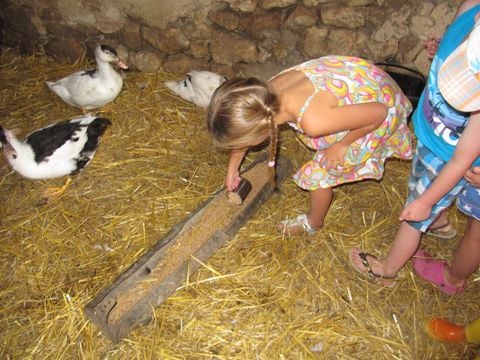 Camping Ferme Pédagogique de Prunay - Camping Loir-et-Cher - Image N°13