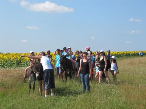 Camping Ferme Pédagogique de Prunay - Camping Loir-et-Cher - Image N°48