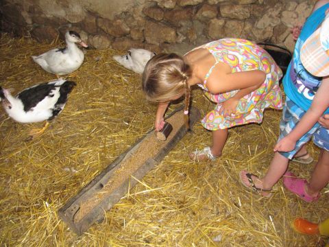 Camping Ferme Pédagogique de Prunay - Camping Loir-et-Cher - Image N°10