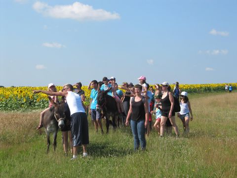 Camping Ferme Pédagogique de Prunay - Camping Loir-et-Cher - Image N°25