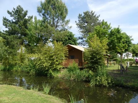 Flower Camping Le Nauzan Plage  - Camping Charente-Maritime - Image N°38