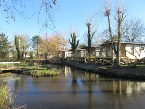 Flower Camping Le Nauzan Plage  - Camping Charente-Maritime - Image N°31