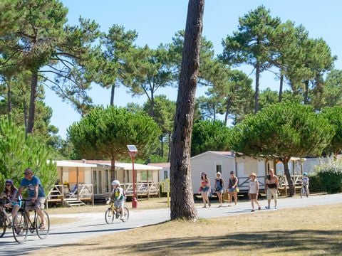 Camping Campéole Médoc Plage - Camping Gironde - Image N°59