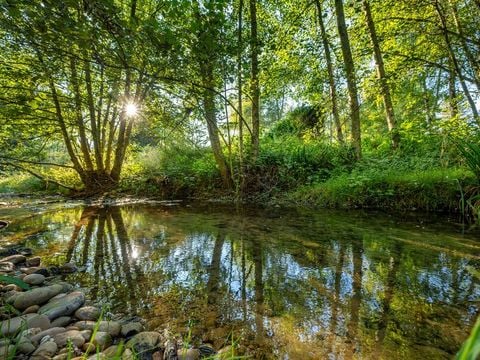 Camping Le Bontemps - Ciela Village - Camping Isère - Image N°88