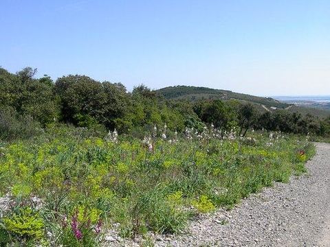 Flower Camping Altea - Camping Hérault - Image N°67