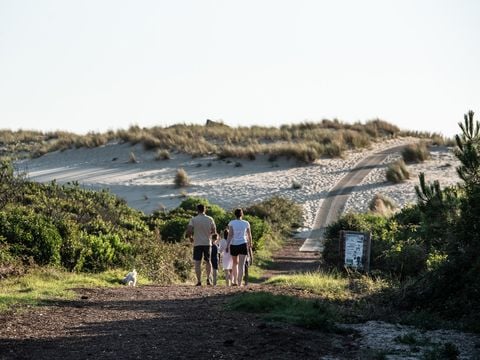 Camping Campéole Les Tourterelles - Camping Landes - Image N°20