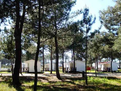 Camping Sitava Milfontes - Camping Alentejo - Portugal - Image N°28