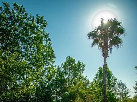 Camping Les Berges du Canal - Camping Hérault - Image N°91