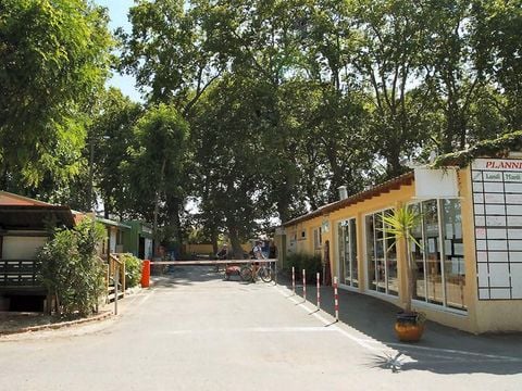 Camping Les Berges du Canal - Camping Hérault - Image N°41