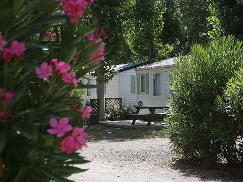 Camping Les Berges du Canal - Camping Hérault - Image N°37