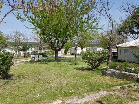 Camping Borepo - Camping Herault - Image N°13