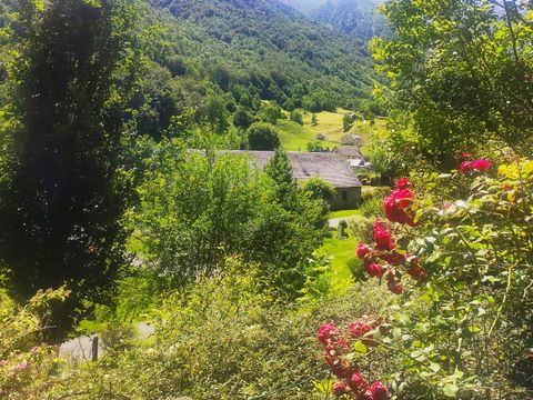  Flower Camping Pyrénées Natura - Camping Hautes-Pyrenees - Image N°53