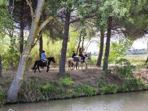 Camping Les Tamaris et Les Portes Du Soleil  - Camping Hérault - Image N°53