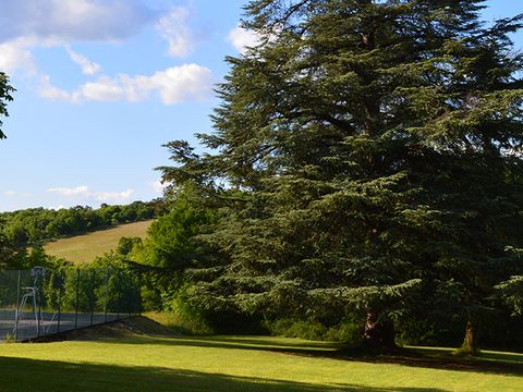 Camping Château de Lacomté - Camping Lot - Image N°34