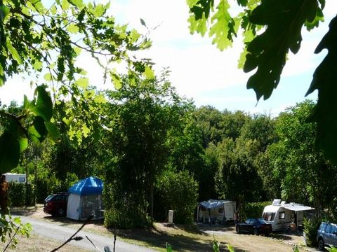 Camping Château de Lacomté - Camping Lot - Image N°29