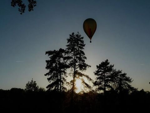 Camping Château de Lacomté - Camping Lot - Image N°31