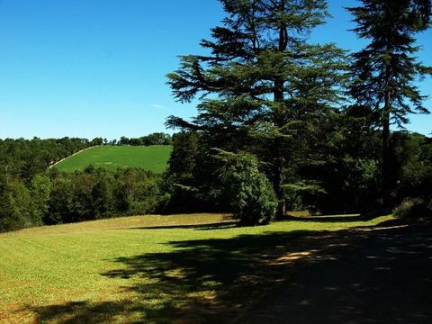 Camping Château de Lacomté - Camping Lot - Image N°26