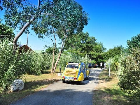 Camping Aqua 3 Masses - Camping Charente-Maritime - Image N°7