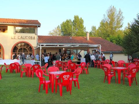 Flower Camping  Le Lac De Thesauque - Camping Haute-Garonne - Image N°16