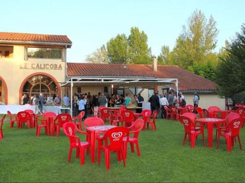 Flower Camping  Le Lac De Thesauque - Camping Haute-Garonne - Image N°5