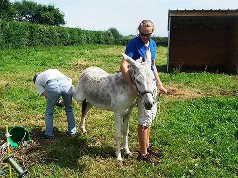 Camping La Ferme du Bord de Mer - Camping Manche - Image N°15