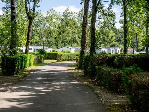 Camping maeva Respire la Comtesse *** - Camping Landes - Image N°67