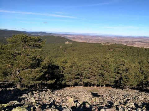 Camping Sierra de Albarracin - Camping Teruel - Image N°11