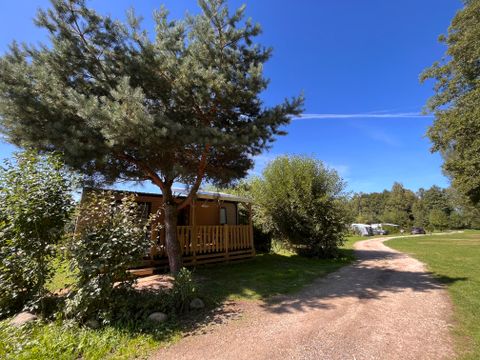 BUNGALOW 5 people - Oak 28 m² with semi-covered wooden terrace