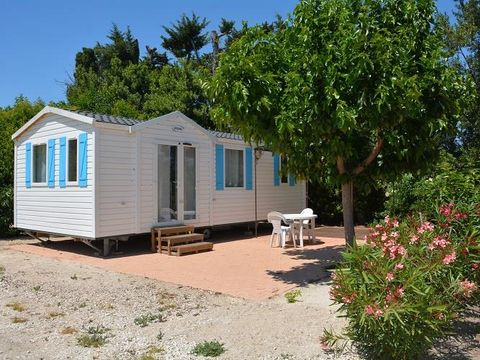 Camping Les Micocouliers - Camping Bouches-du-Rhone - Image N°19