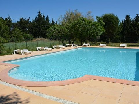 Camping Les Micocouliers - Camping Bouches-du-Rhone - Image N°4