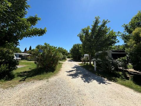 Camping Les Micocouliers - Camping Bouches-du-Rhone - Image N°14