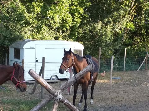 Camping maeva Escapades Au P'tit Bonheur - Camping Dordogne - Image N°19