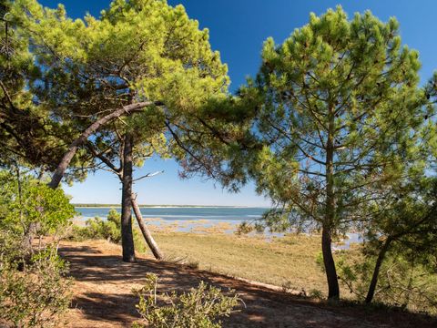 Camping Club La Côte Sauvage - Camping Charente-Maritime - Image N°30