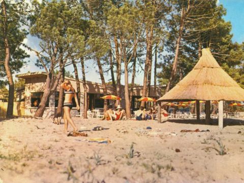 Camping Golfo Di Sogno - Camping Corse du sud - Image N°43