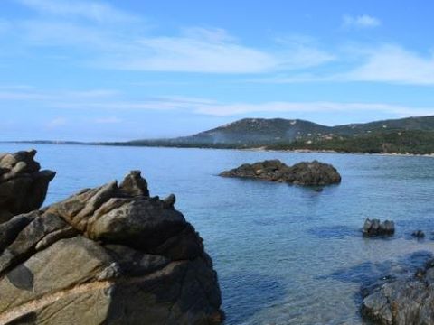 Camping l'Esplanade - Camping Southern Corsica - Image N°21