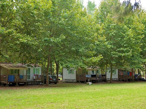 Camping U Casone - Maeva - Camping Northern Corsica - Image N°7