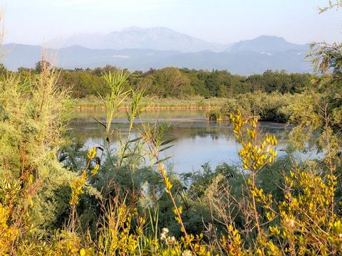 Bagheera Camping Naturiste - Camping Córcega del Norte