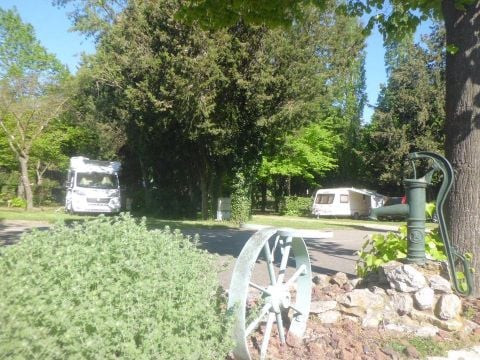 Camping Les Avignon - La Laune - Camping Gard - Image N°18