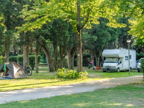 Camping Les Avignon - La Laune - Camping Gard - Image N°26