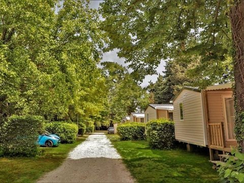 Camping Les Avignon - La Laune - Camping Gard - Image N°7